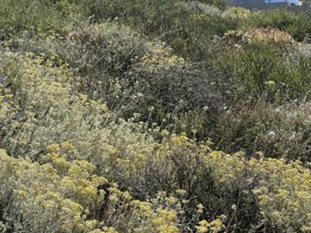 Land for sale in Western Cape
