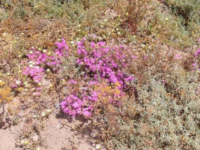 Land for sale in Western Cape