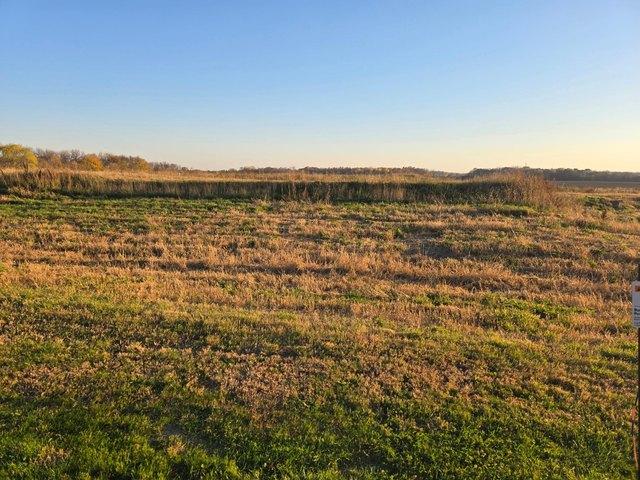 Land for sale in Maple Lake, Wright County