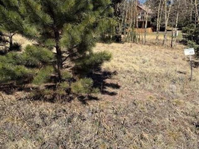 Land for sale in Divide, Teller County