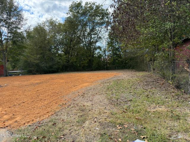 Land for sale in Belden, Mississippi