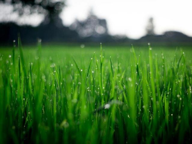 Land for sale in Toombul, Queensland