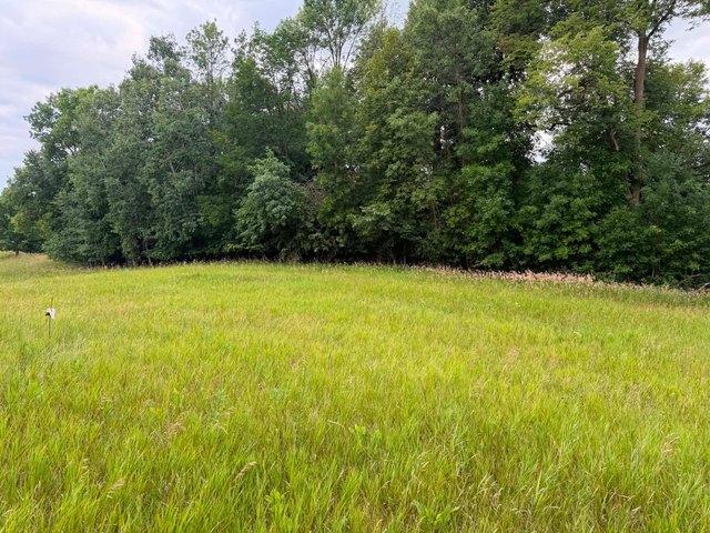 Land for sale in Braham, Minnesota