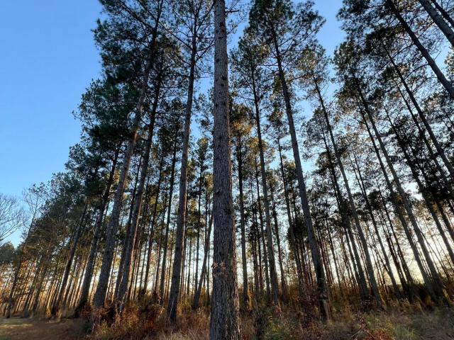 House for sale in Crosby, Mississippi