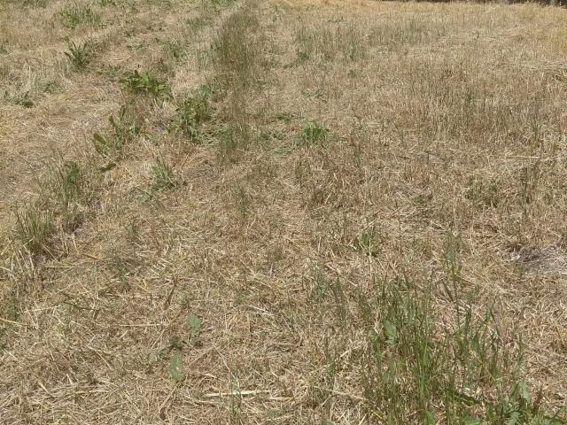 Land for sale in El Sobrante, California