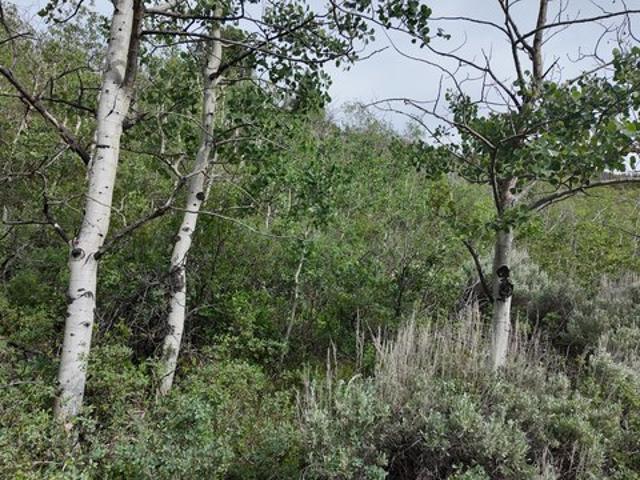 Land for sale in Kamas, Utah