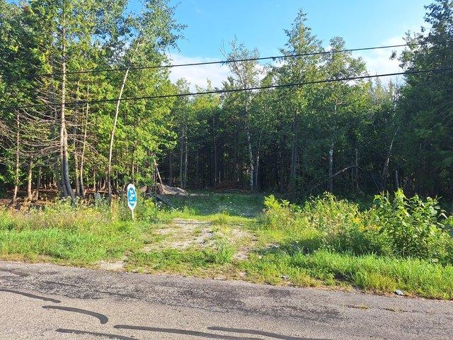 Land for sale in Alpena, Alpena County