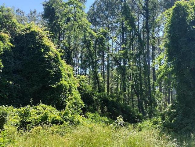 Land for sale in Maryland