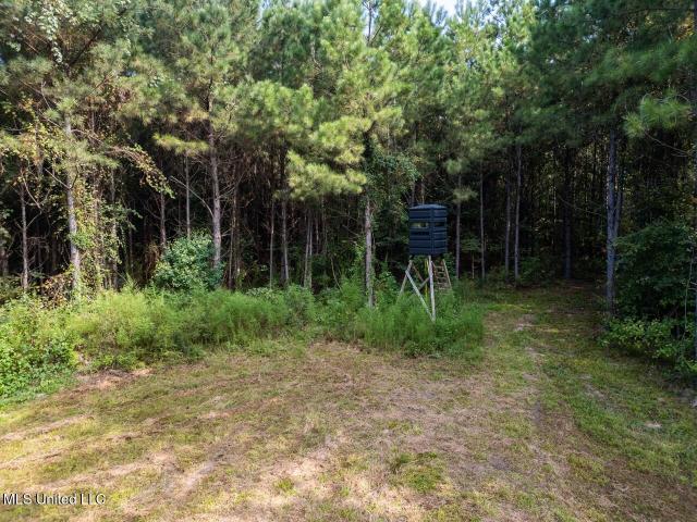 Property for sale in Wesson, Mississippi