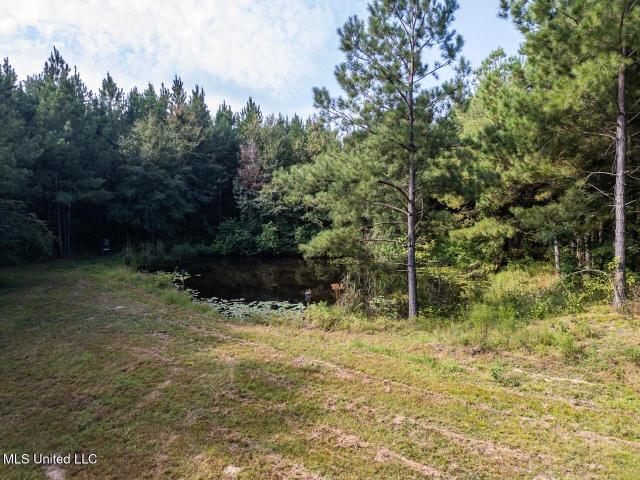 Land for sale in Wesson, Mississippi