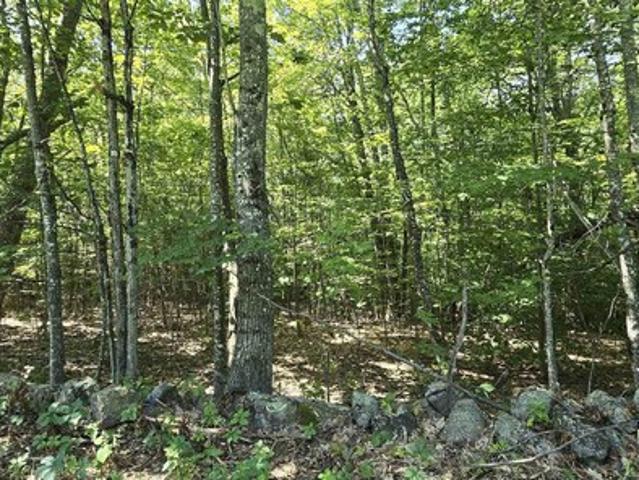 Land for sale in New Hampshire