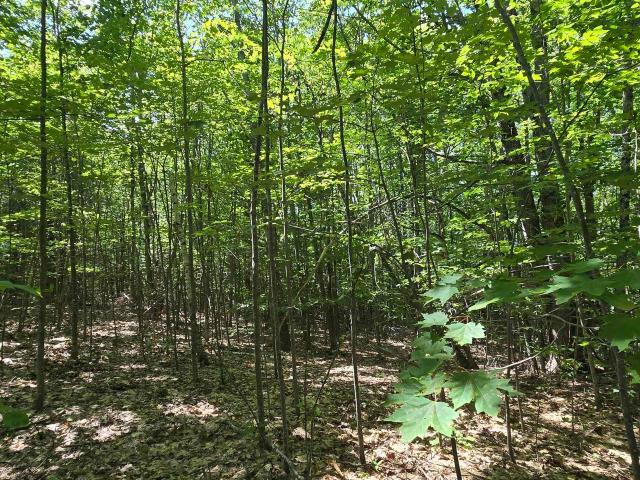 Land for sale in New Hampshire