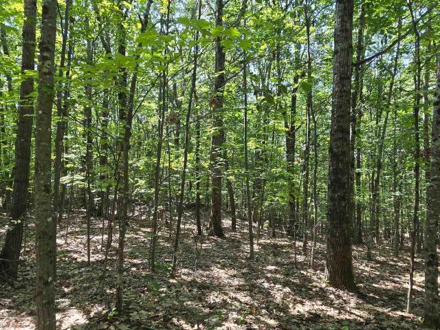 Land for sale in New Hampshire