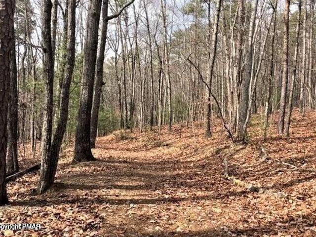 Land for sale in Carbon, Pennsylvania