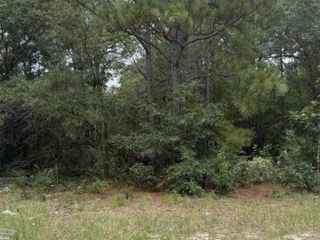 Land for sale in Aiken, South Carolina