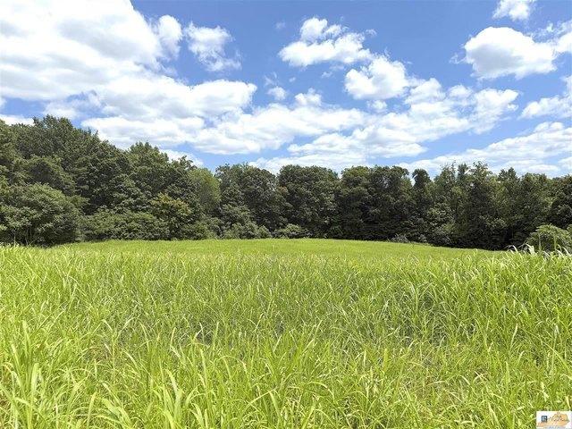 Land for sale in Jamestown, Kentucky