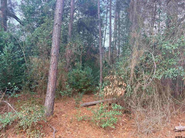 Land for sale in Bullard, Texas