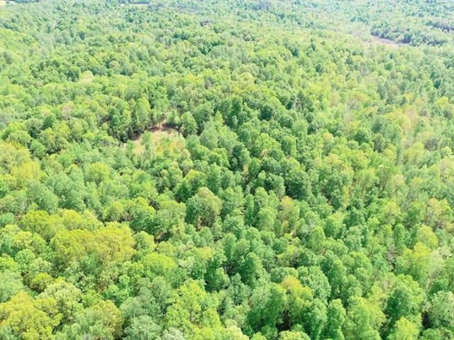 Land for sale in Princeton, Kentucky