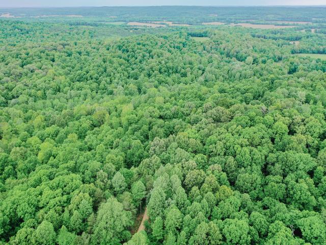 Land for sale in Princeton, Kentucky
