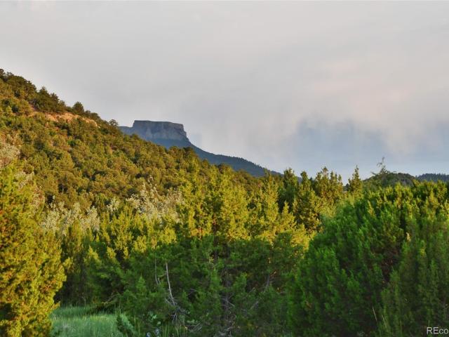 Land for sale in Model, Colorado