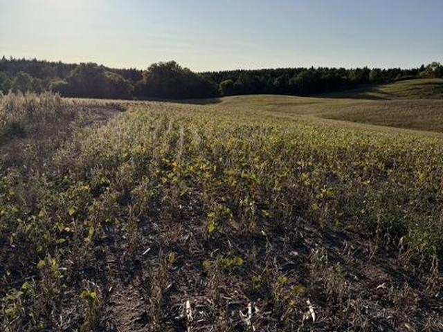 Land for sale in Dent, Otter Tail County