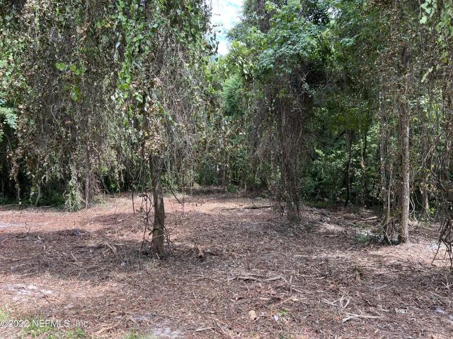 Land for sale in Middleburg, Florida