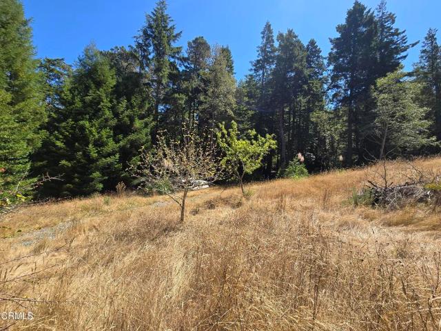 Land for sale in Point Arena, Mendocino County