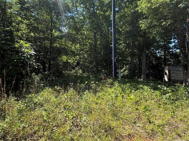 Land for sale in Catawba, North Carolina