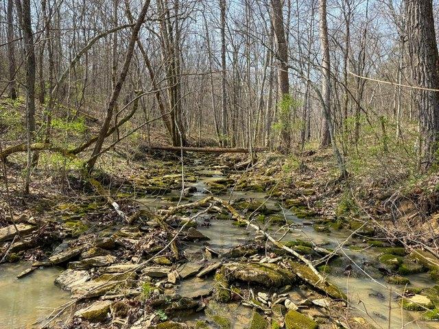 Land for sale in Germantown, Kentucky