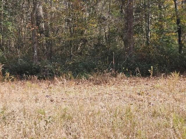 Land for sale in Bethune, South Carolina