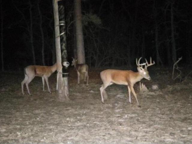 Land for sale in Wood, Texas