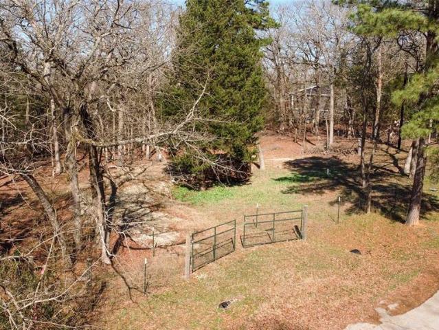 Land for sale in Ben Wheeler, Texas