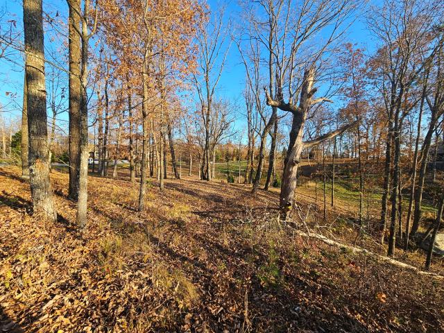 Land for sale in Lookout Mountain, Georgia