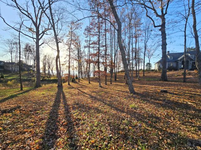 Land for sale in Lookout Mountain, Georgia