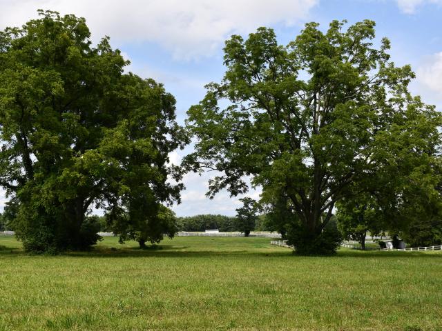 Farm for sale in Frankfort, Kentucky