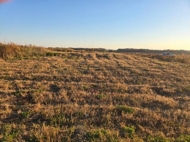 Land for sale in Maple Lake, Wright County
