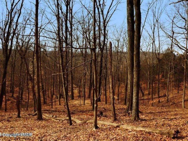 Land for sale in Penn Forest Township, Carbon County