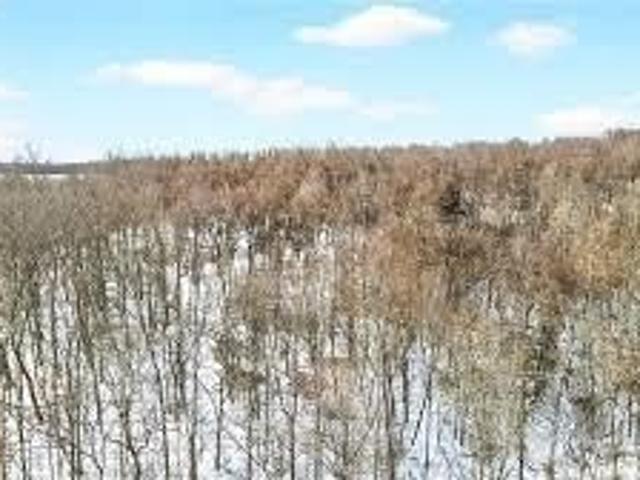 Land for sale in Beaver, Pennsylvania
