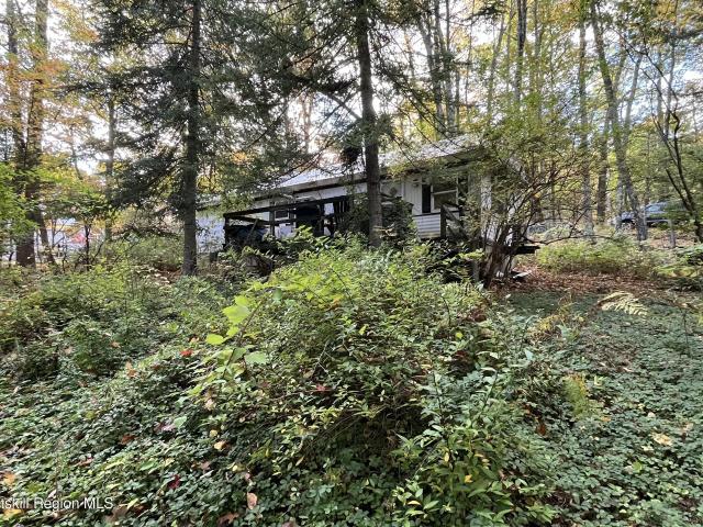 House for sale in Connelly, New York