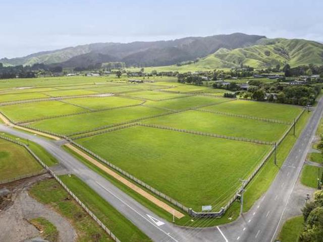 Land for sale in Levin, Horowhenua District