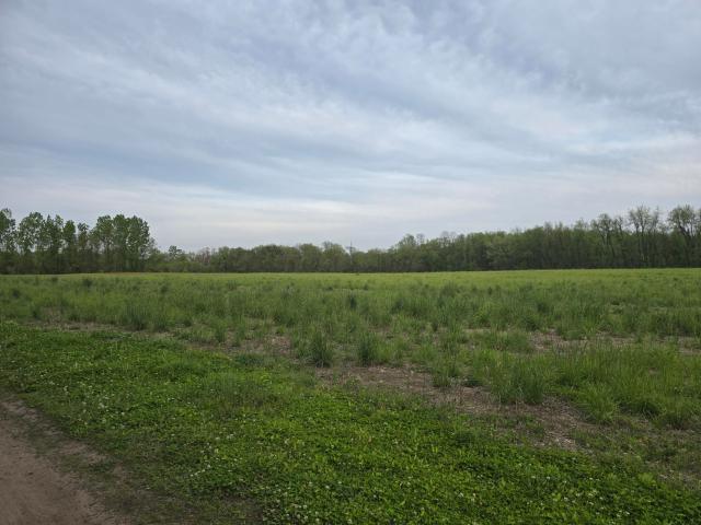 Land for sale in Rolling Prairie, Indiana