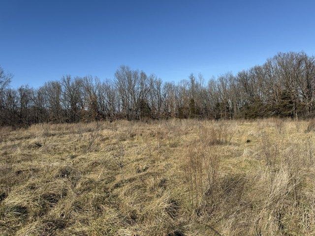 Land for sale in Bolivar, Missouri