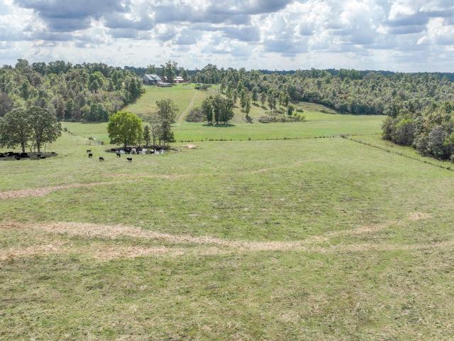 Farm for sale in Howell, Missouri