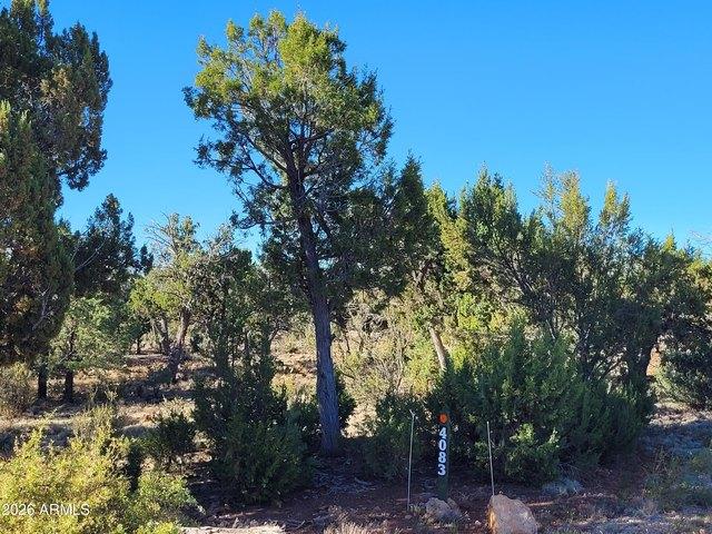 Land for sale in Happy Jack, Arizona
