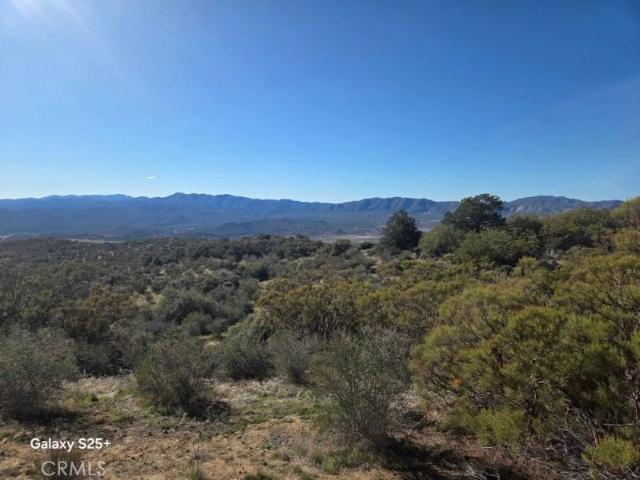 Land for sale in Anza, California
