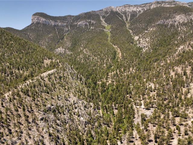 Land for sale in Mount Charleston, Clark County