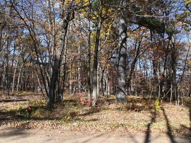 Land for sale in Todd, Minnesota