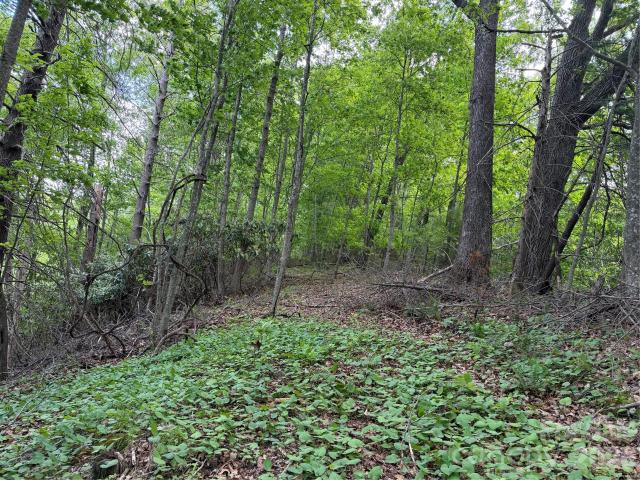 Land for sale in Marshall, North Carolina