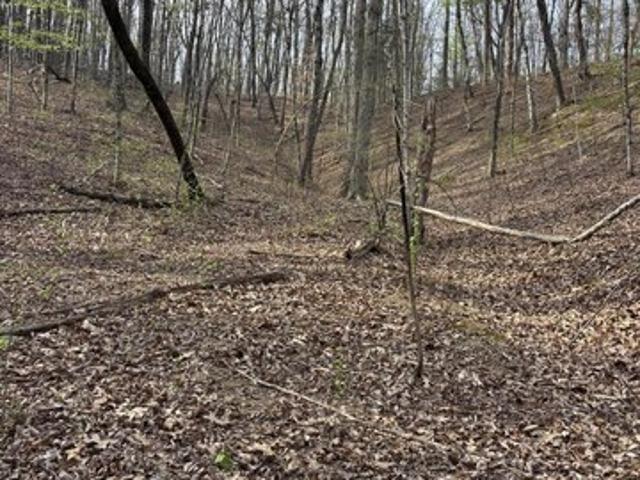 Farm for sale in Tennessee