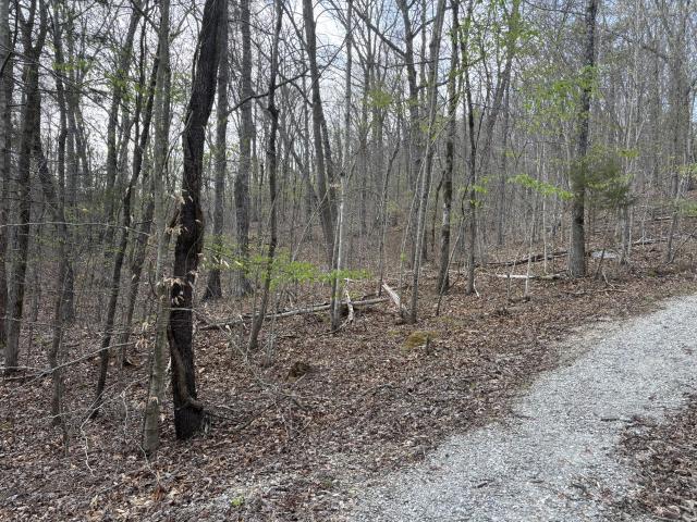 Farm for sale in Tennessee